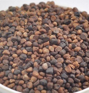 供应庵闾子 每日报价