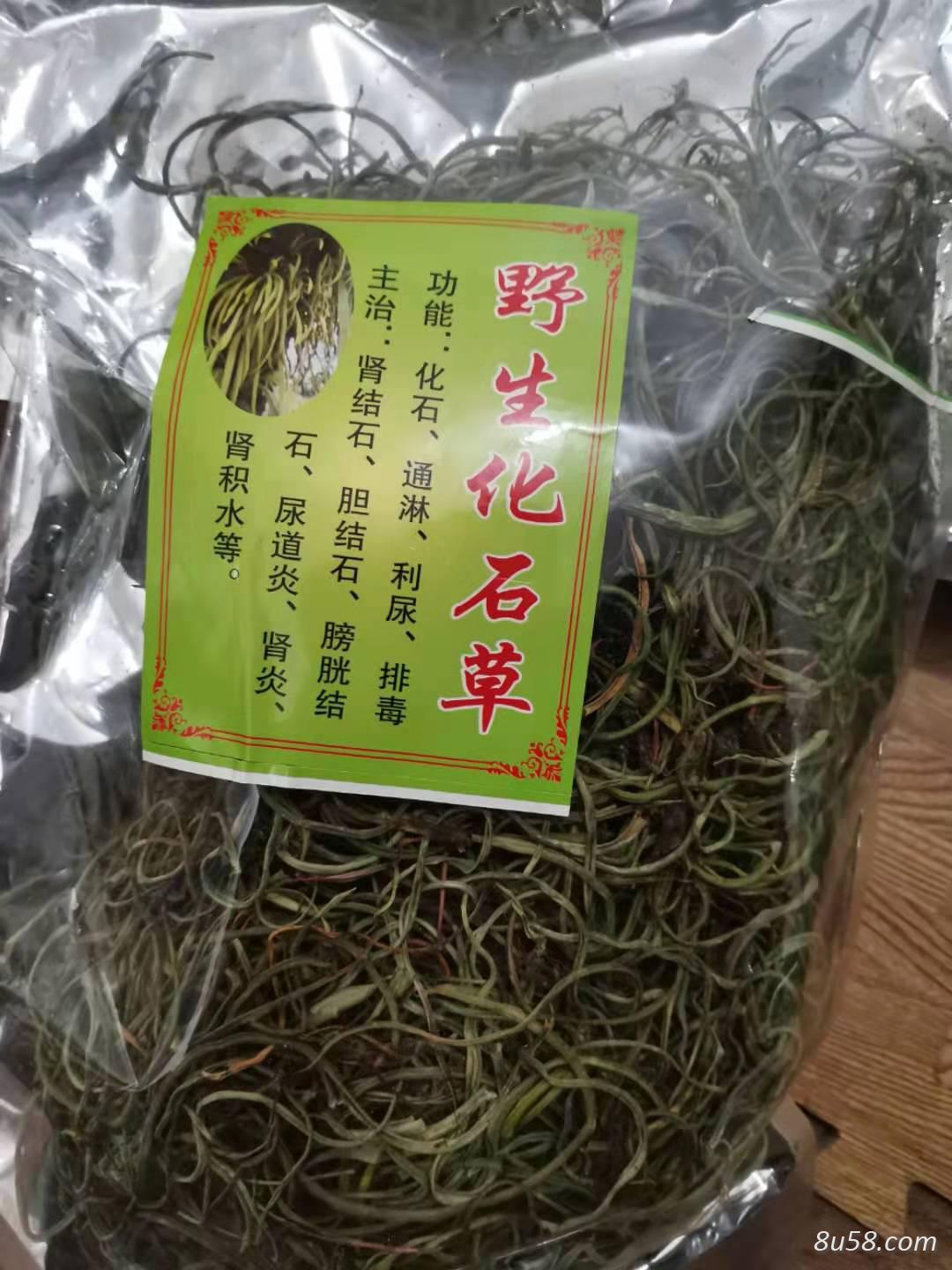 供应野生化石草 每日报价