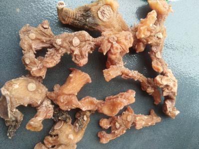 黄精川姜型甜黄精