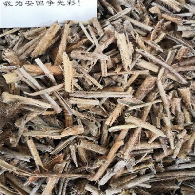 五加皮正品供应 每日报价