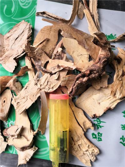中药材五爪龙供应 五爪龙联系方式