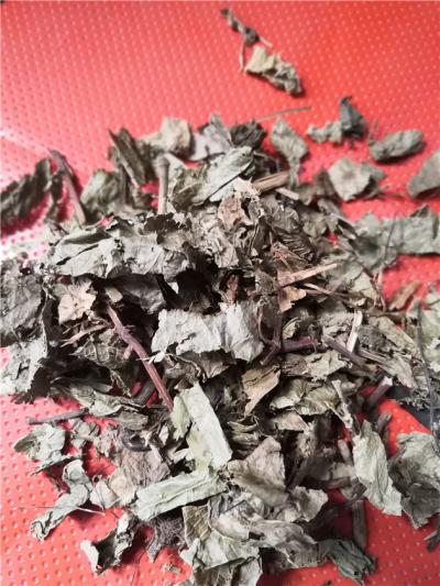 我想买火炭母 火炭母供应每日报价