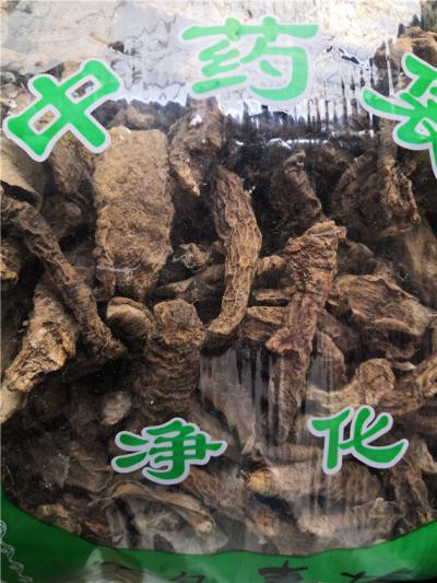 万年青哪里能买到 药材万年青供应