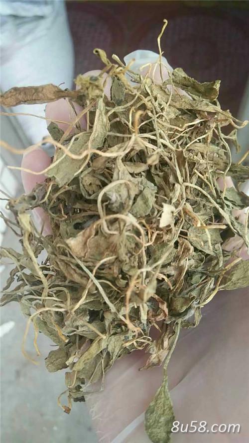 一支箭哪里能买到一支箭报价
