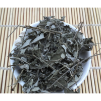 牡荆叶哪里能买到 牡荆叶每日报价