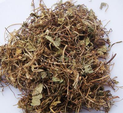 供应中药材落得打 落得打哪里能买到