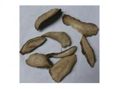 紫茉莉根哪里能买到 紫茉莉根供应 每日报价