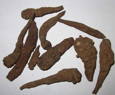 天雄哪里能买到 中药材天雄供应