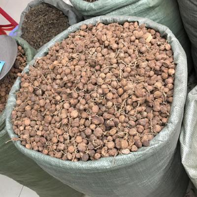 阳春砂仁批发