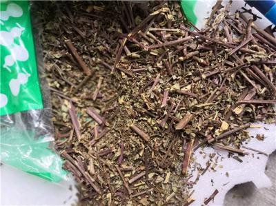 猫须草哪里能买到 猫须草供应