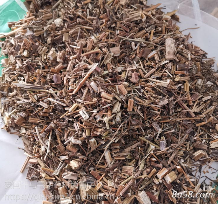 中药狼把草供应 狼把草哪里能买到