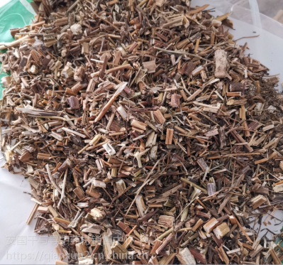 中药狼把草供应 狼把草哪里能买到
