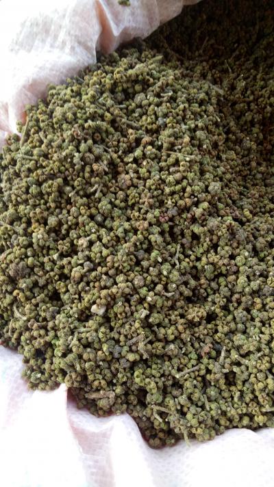 寻找商家销售--自家种植中花吴茱萸