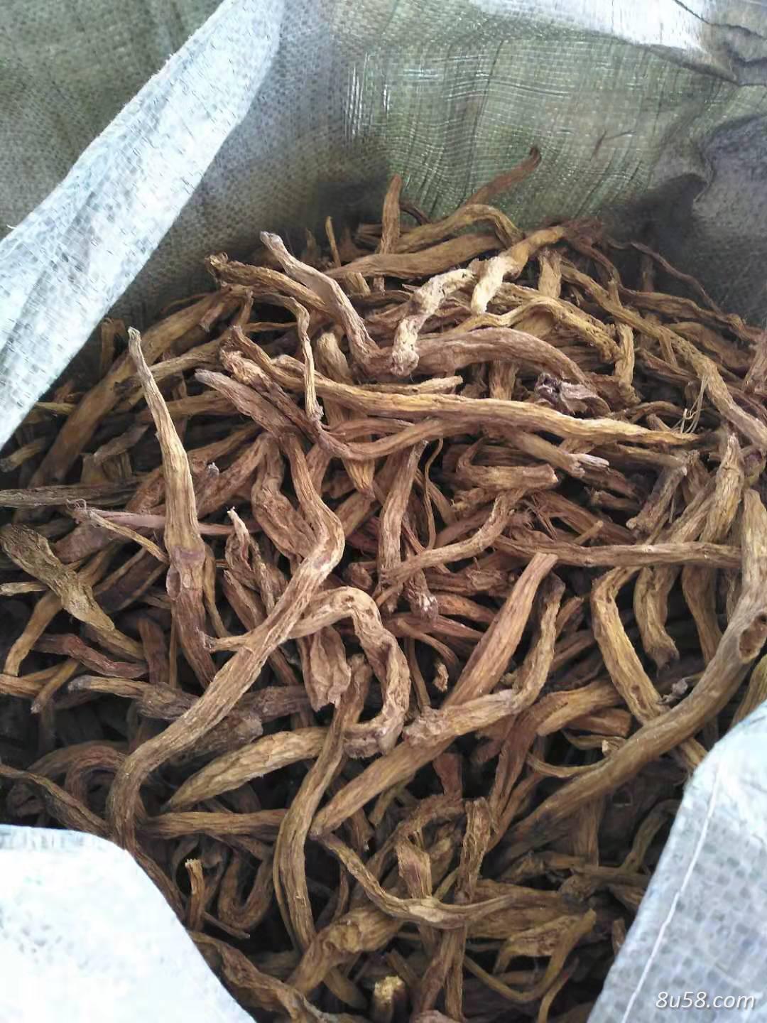 自产自销野生百部