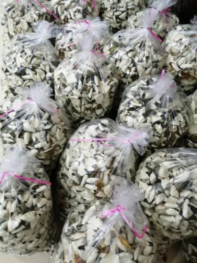 新会陈皮 有新皮旧皮 批发可以面谈看货