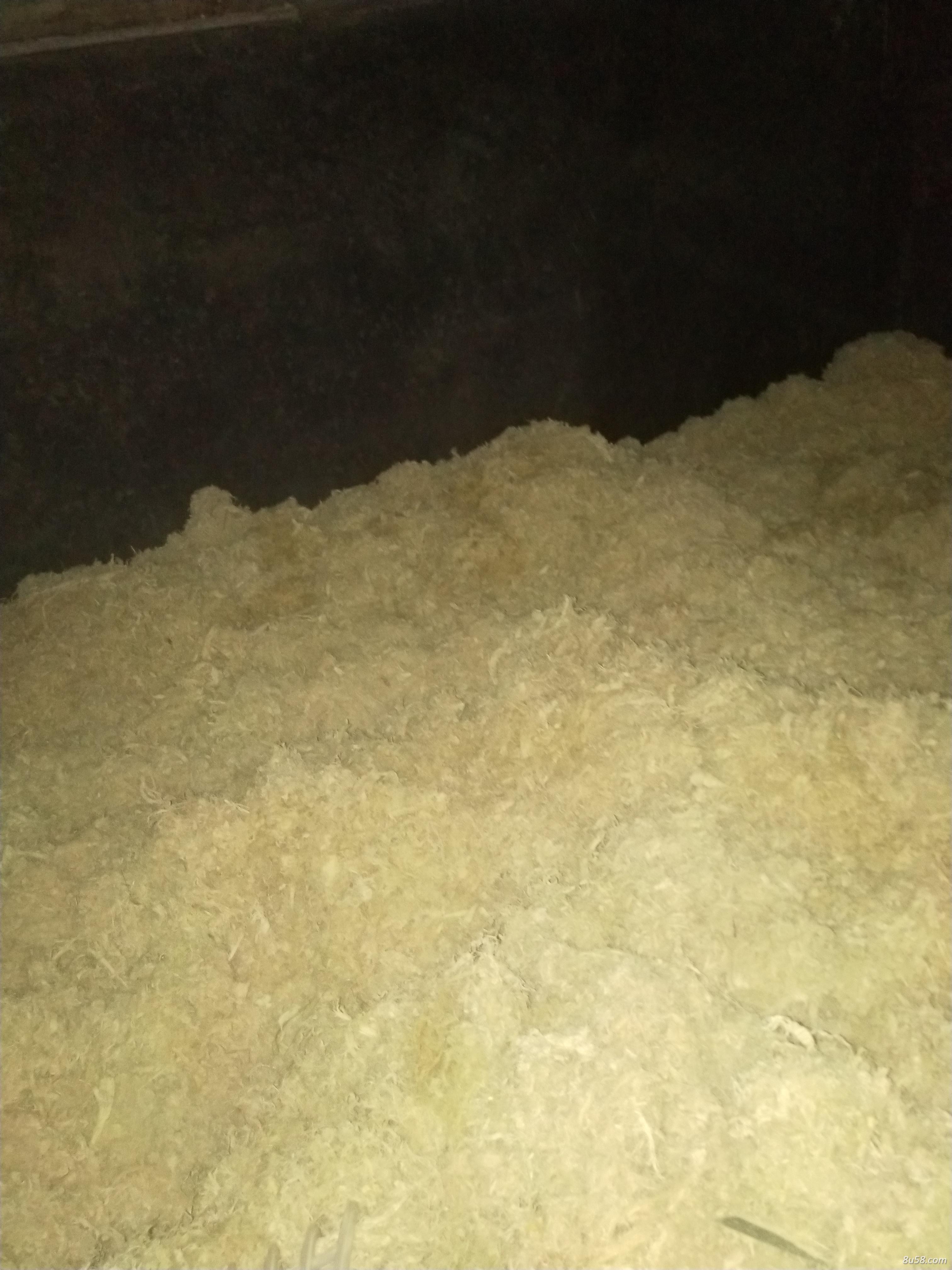 大量生产加工竹茹