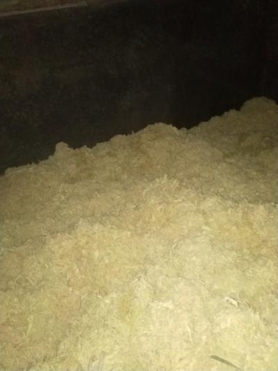 大量生产加工竹茹