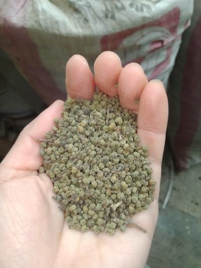 吴茱萸产地价格批发零售