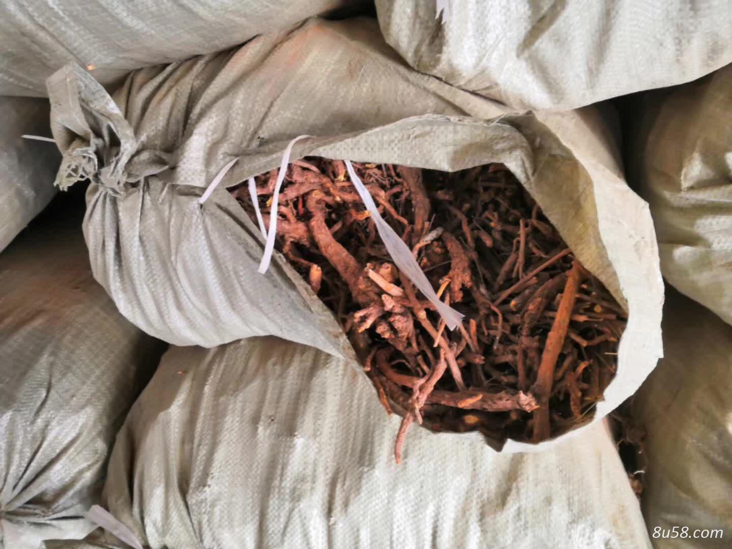 出售陕西黄芩