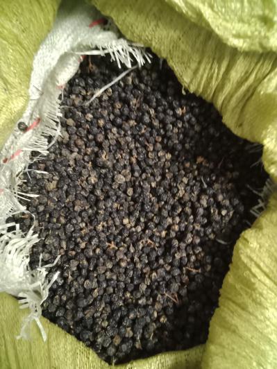 俄罗斯黑果