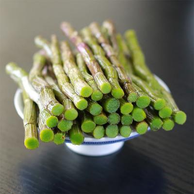 正宗霍山石斛鲜条石斛枫斗石斛花都有售，霍山当地斛农直卖