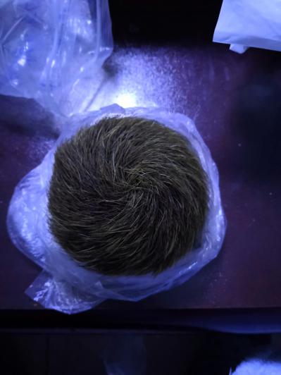 杀猪时候得到的猪宝