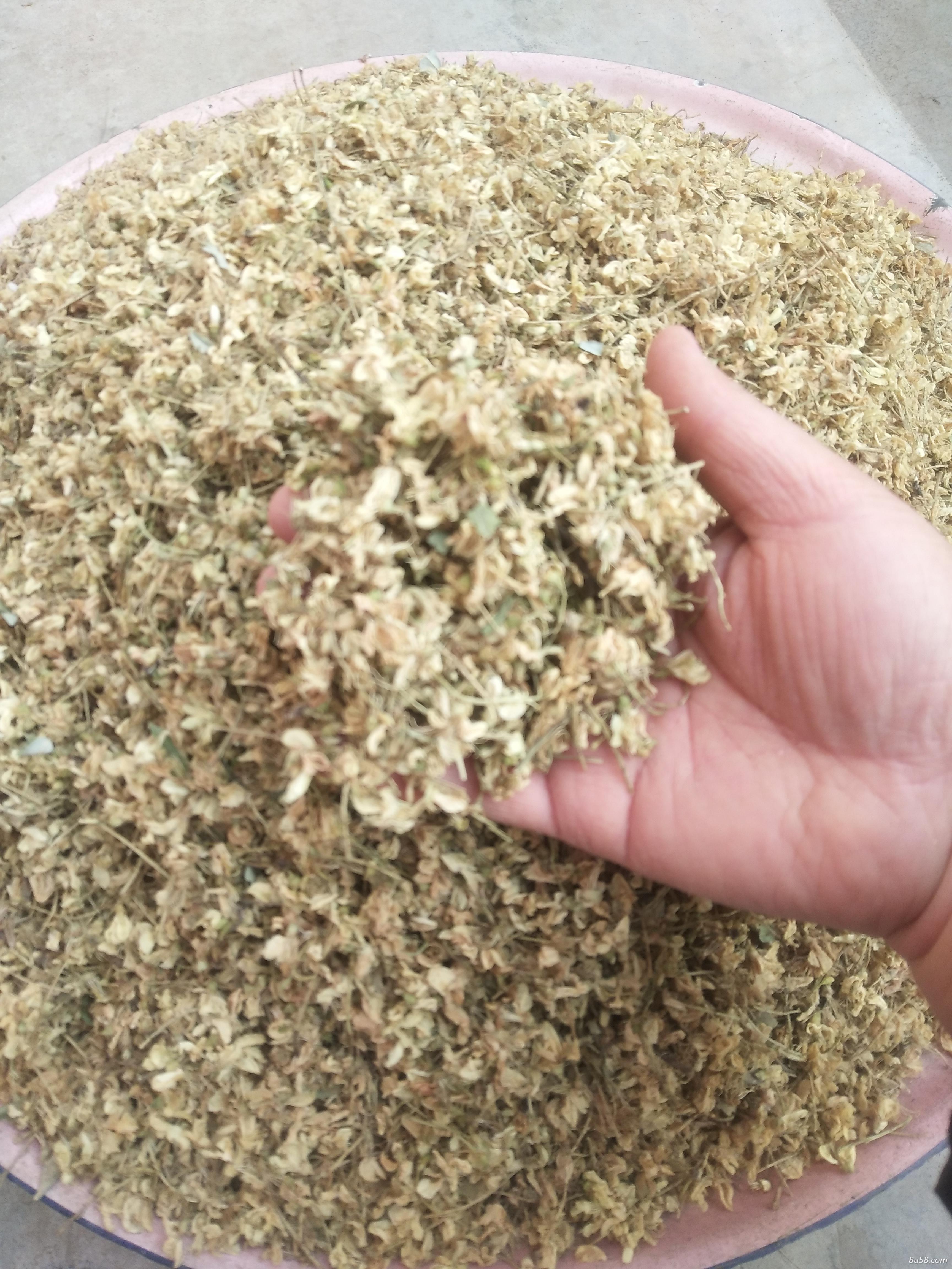 农家自采槐花一分价钱一分货