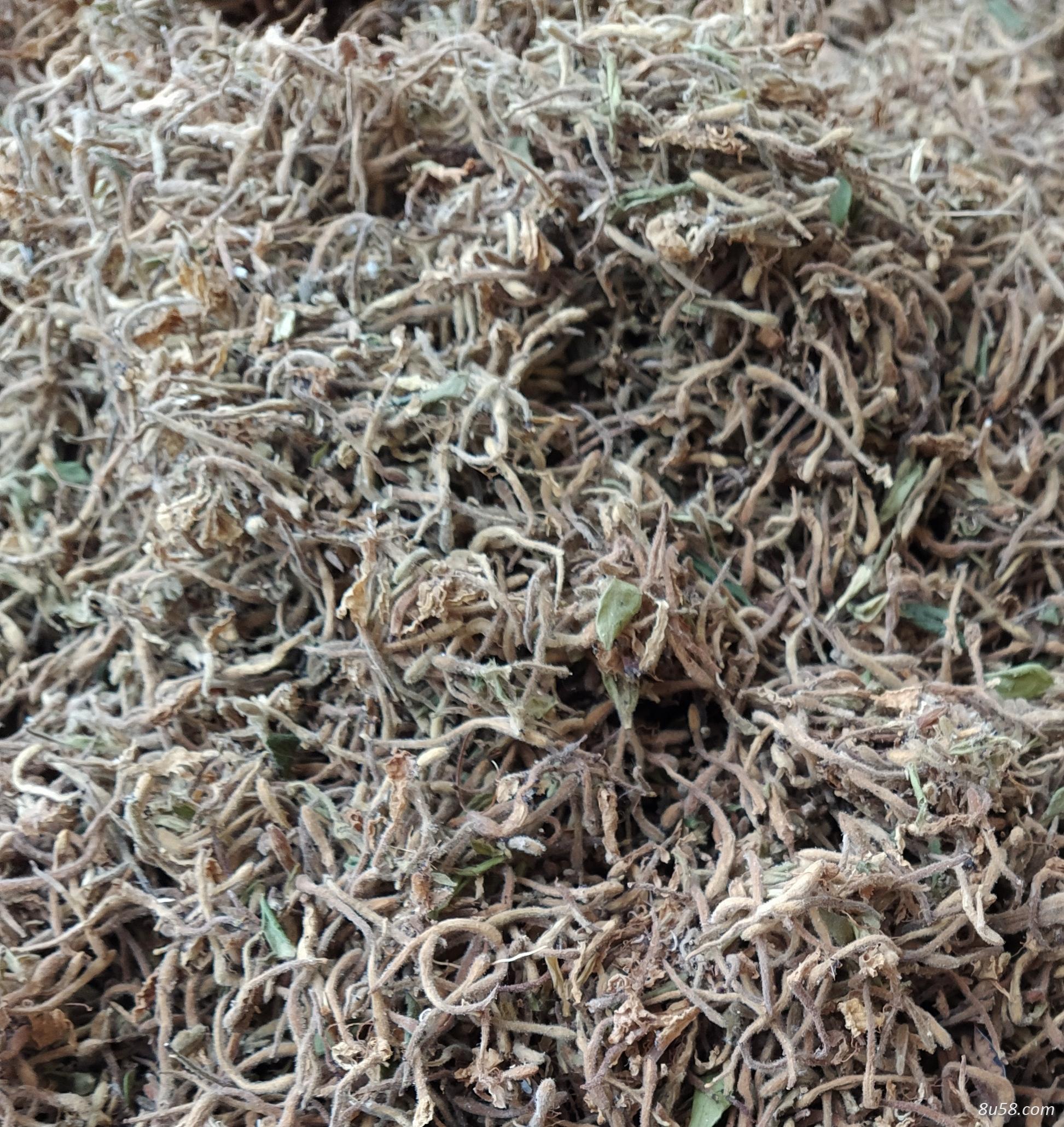 湖南金银花10吨统货 湖南金银花10吨统货