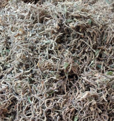 湖南金银花10吨统货