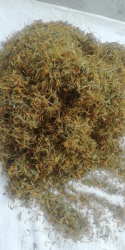 隆回小沙江金银花