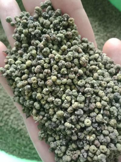 江西中花吴茱萸