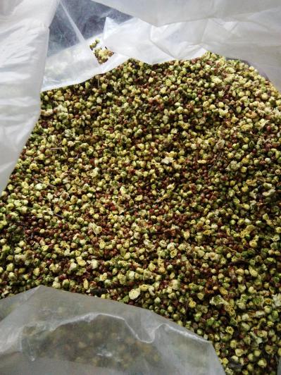 绿梅花干出售（原产地）