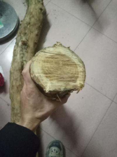 出售穿破石