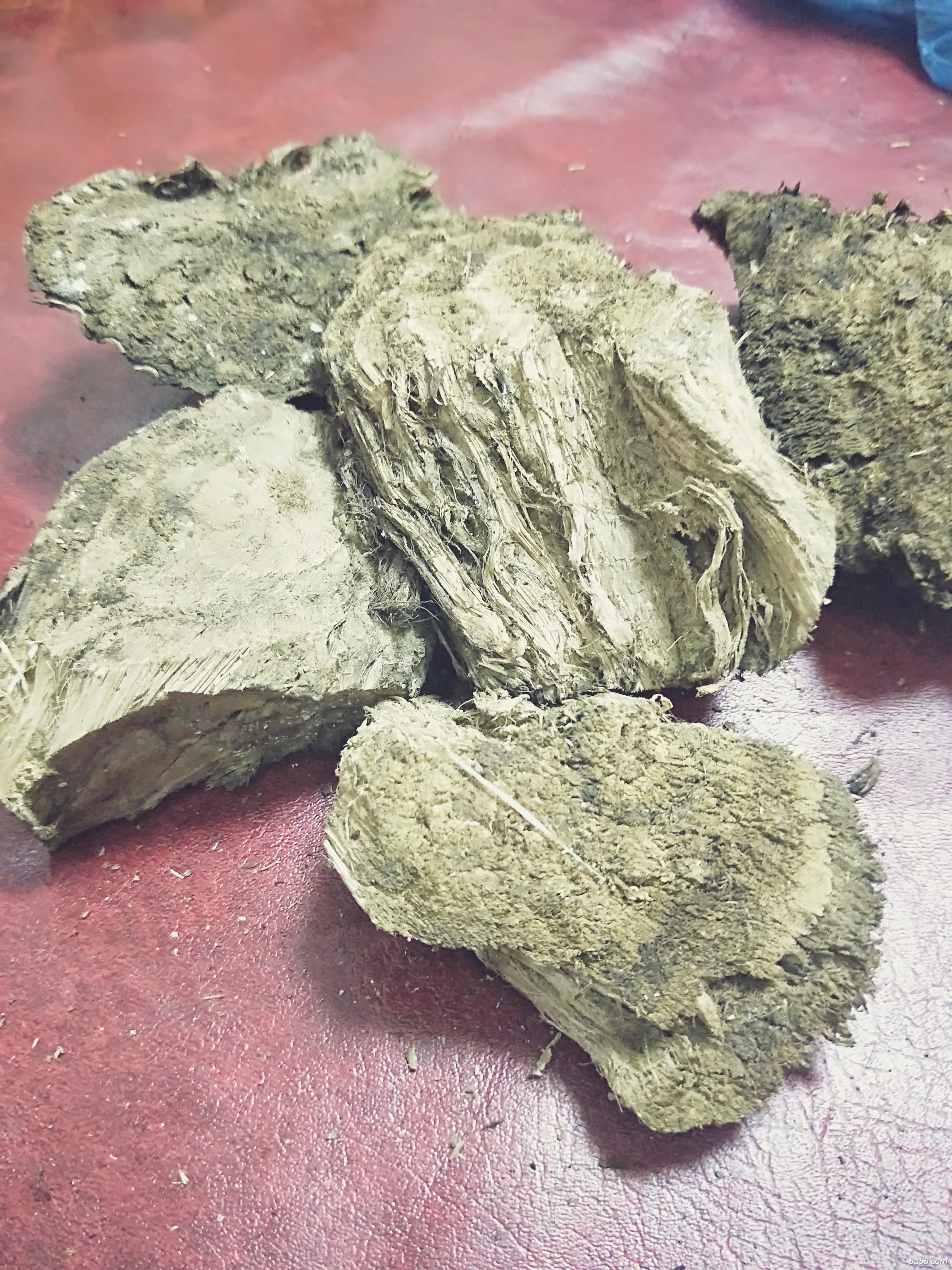 大量野生葛根 大量野生葛根