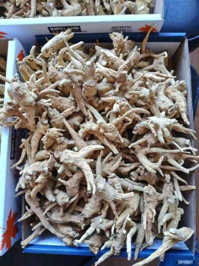加拿大进口花旗参