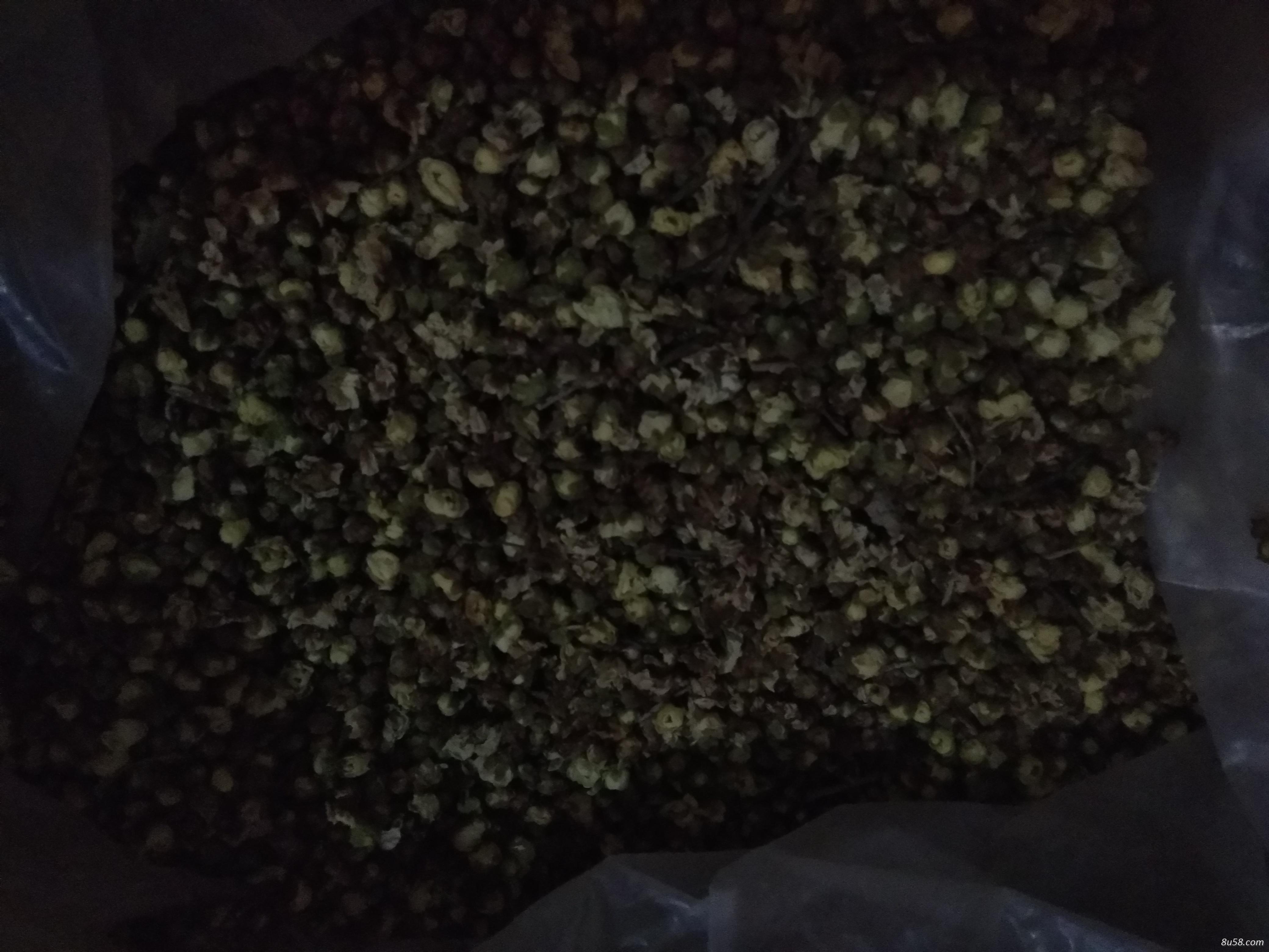 绿梅花