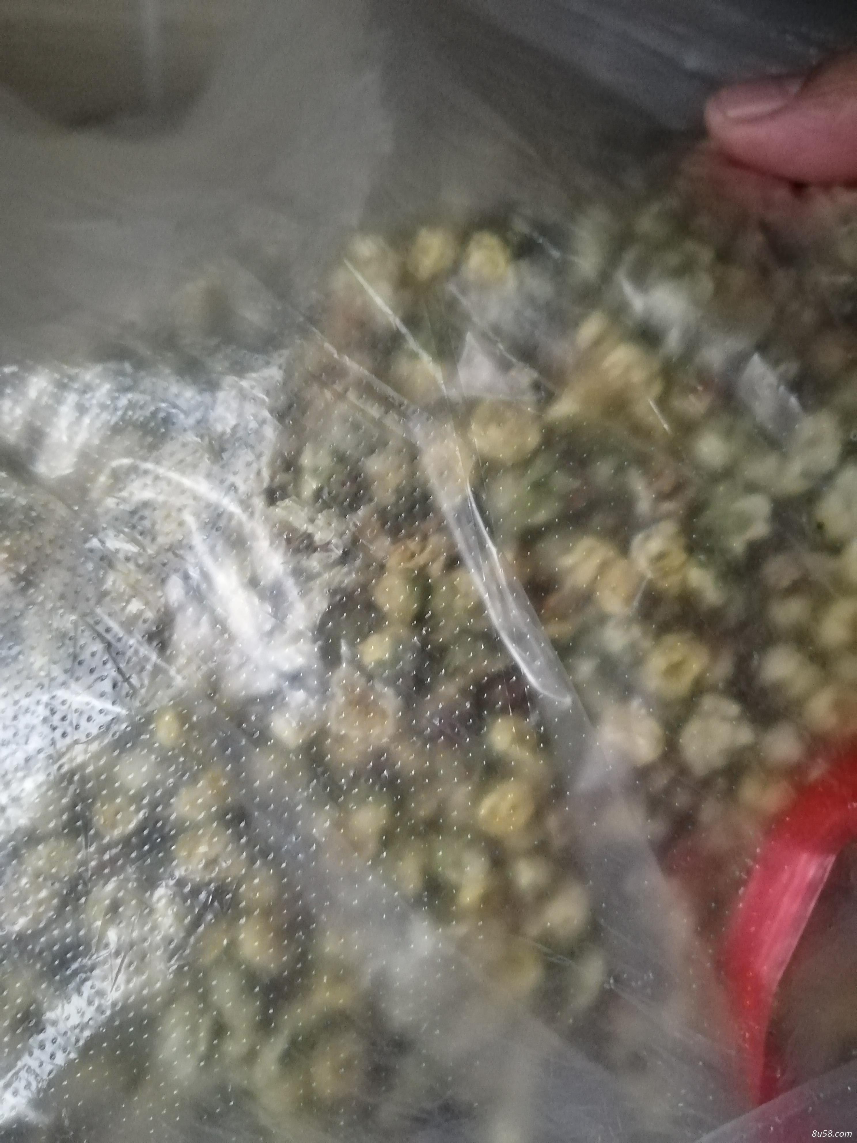 绿梅花