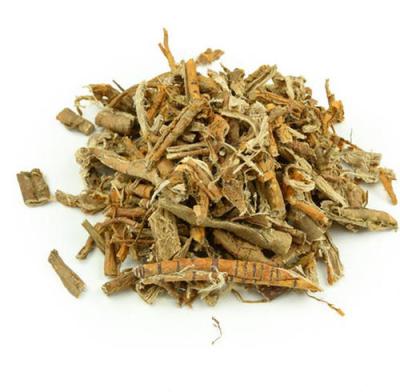 白桑皮根