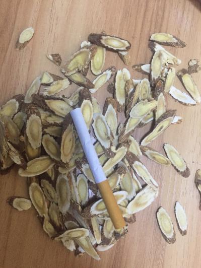 红芪 指甲斜片