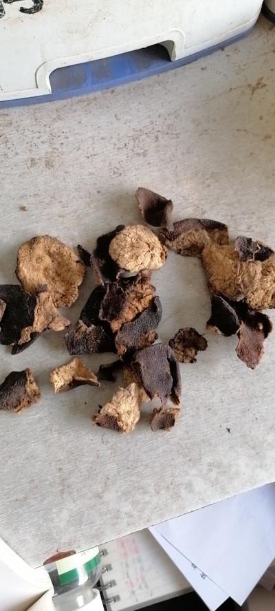 卖十三年老陈皮