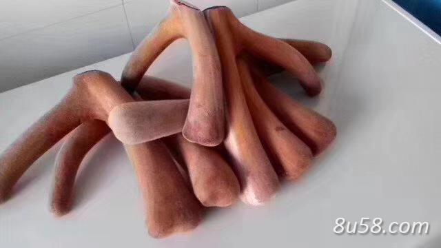 鹿茸