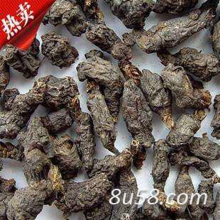 天葵子 天葵子