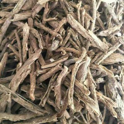 大量出售甘肃野生地骨皮
