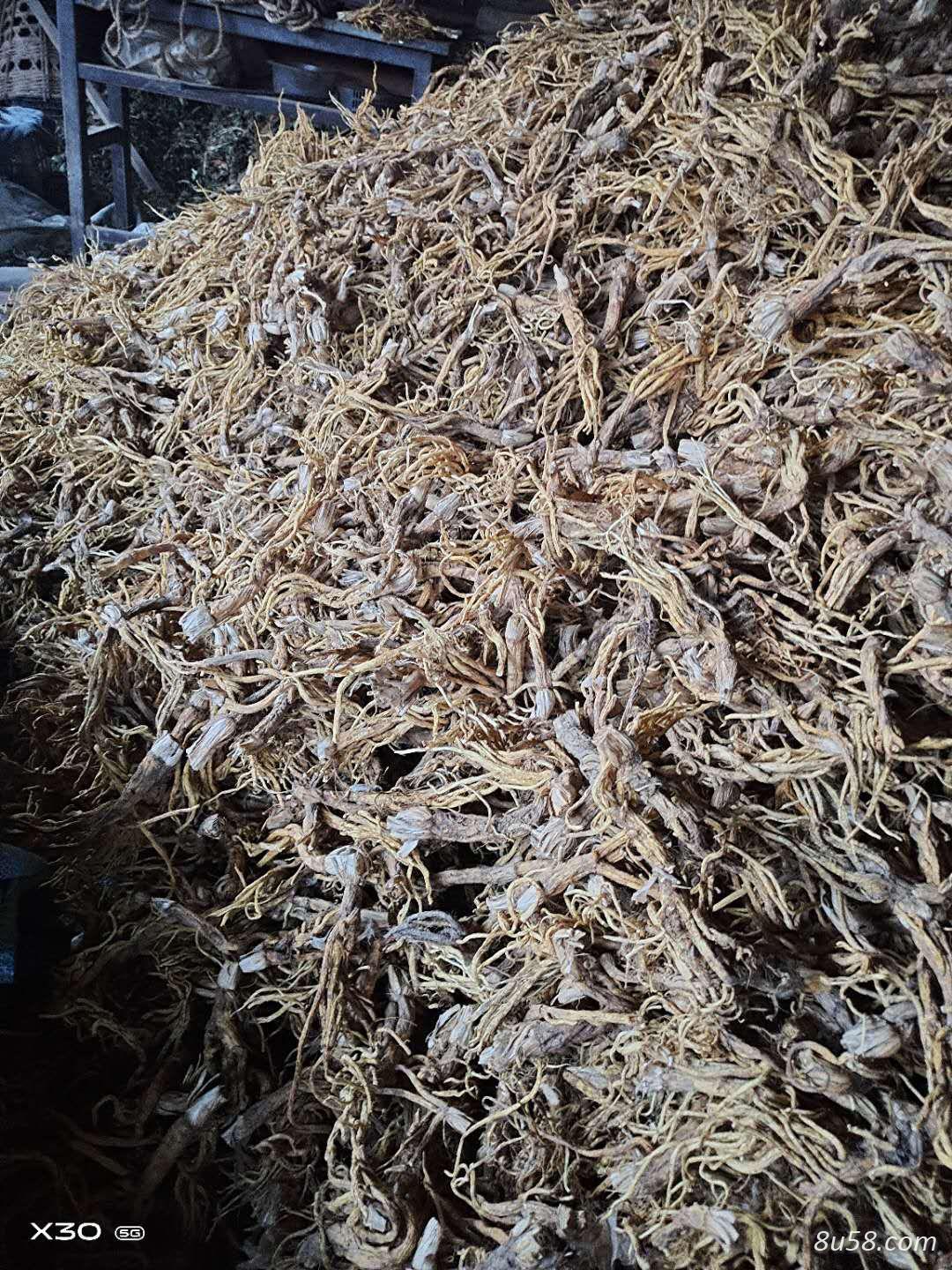 秦艽干货优质
