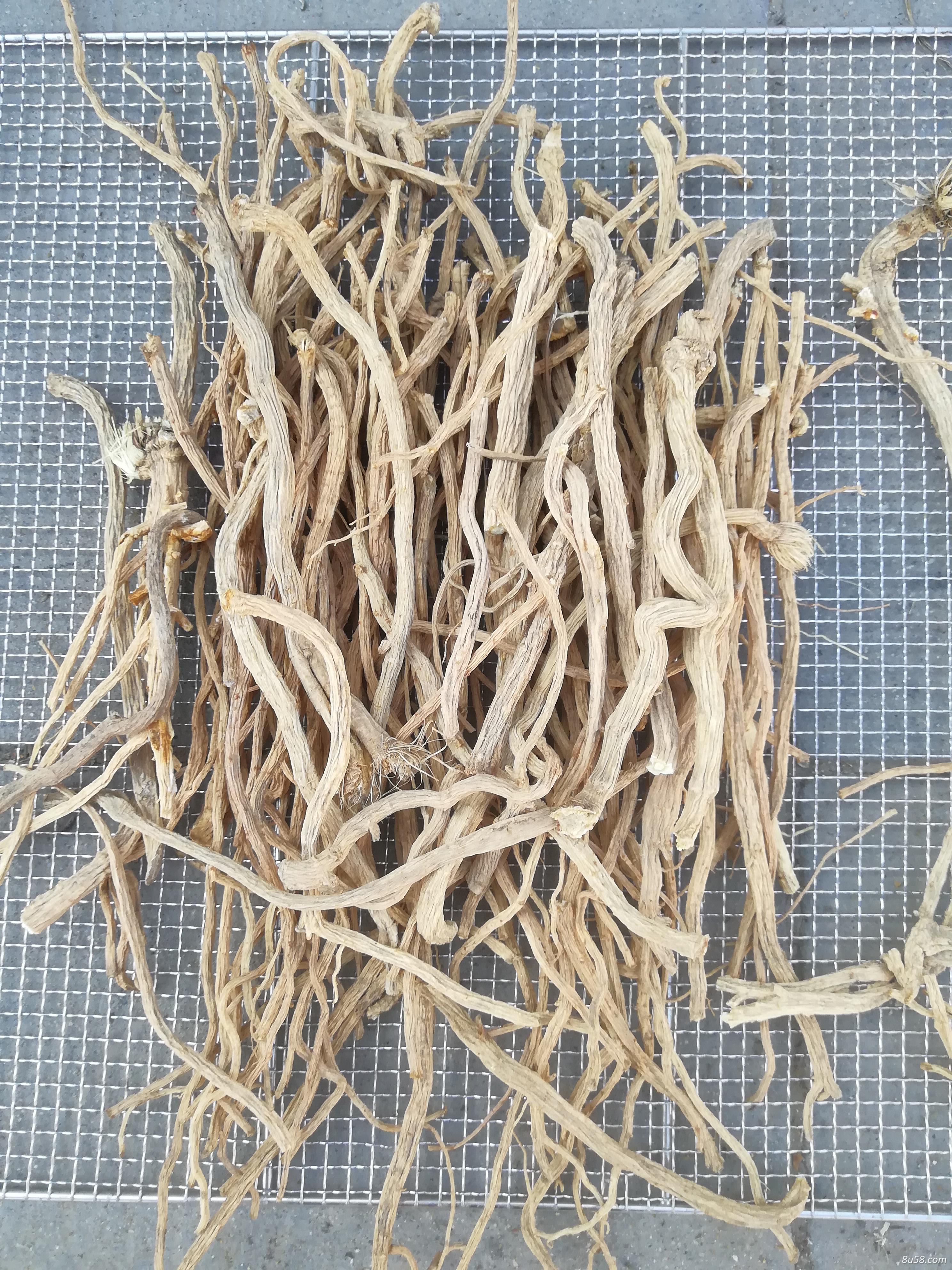 防风 高含量 品相好 有大货