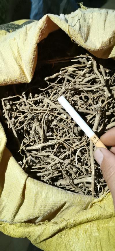 柴胡产地供应