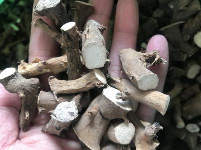 地龙骨 求收购