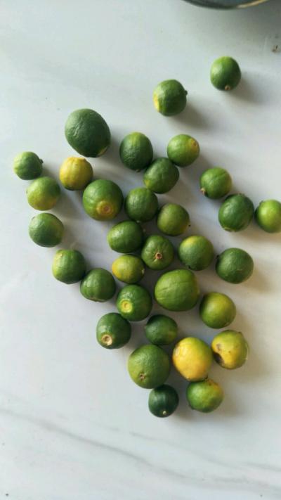 卖5吨江西优质枳实，有中意的可联系