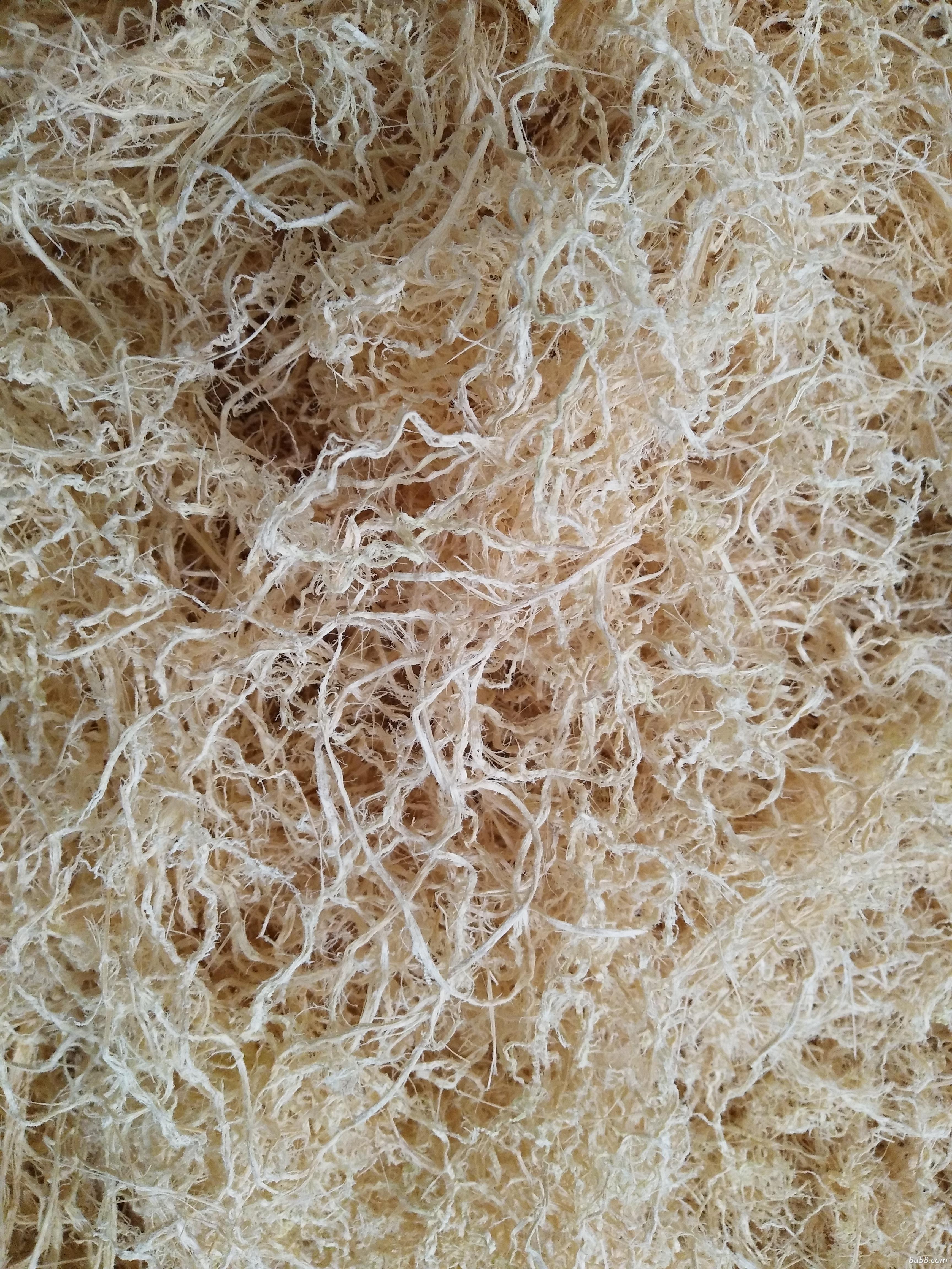 竹茹青丝白丝含量高药厂指定专供2020新品可寄样