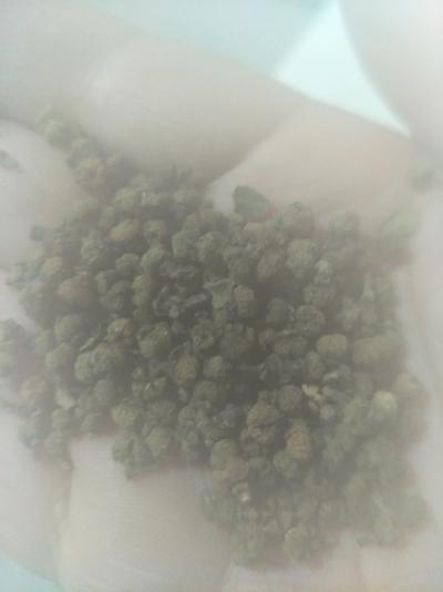 长期供应中花吴茱萸